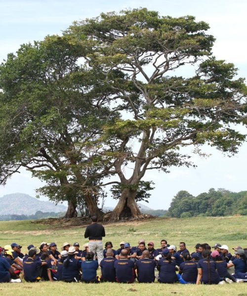 WhatsApp Image 2025-09-08 at 20.22.40_c0dff6f6