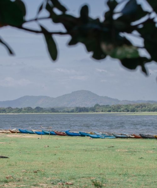 WhatsApp Image 2025-09-13 at 12.50.31_f021d12e