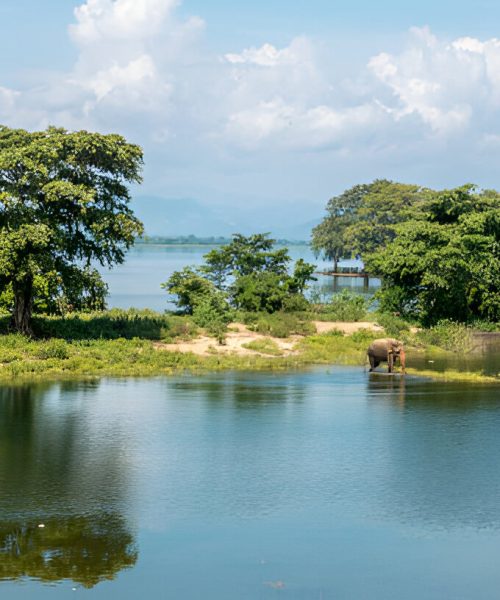 steptodown.com182934