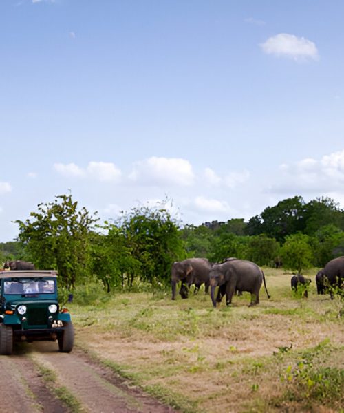 steptodown.com483277