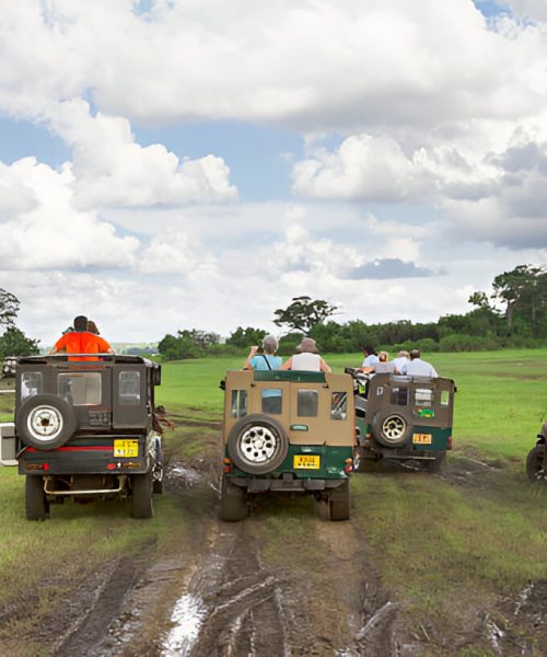 steptodown.com552390